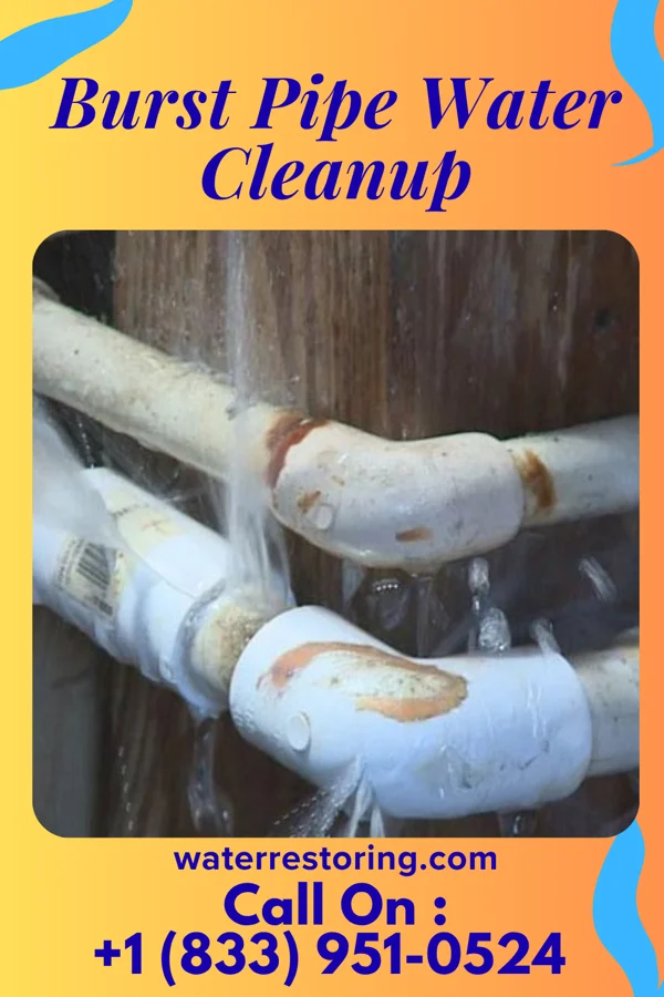 Burst Pipe Water Cleanup in Broadway, VA
