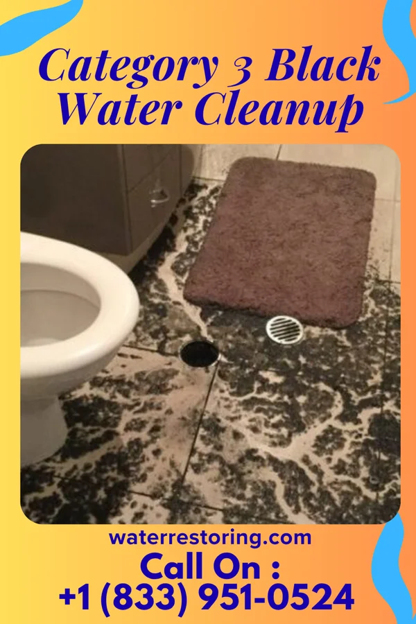 Category 3 Black Water Cleanup in Broadway, VA