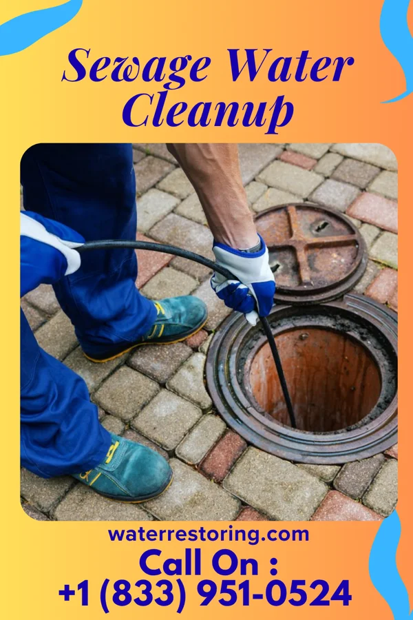 Sewage Water Cleanup in Broadway, VA